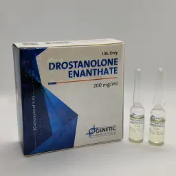 Drostanolone Enanthate by Genetic Pharmaceuticals