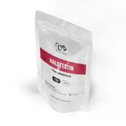 Halotestin 10 mg by Dragon Pharma, Europe