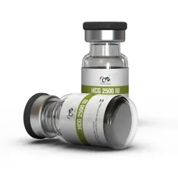 HCG 2500 IU by Dragon Pharma, Europe