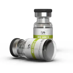 HCG 5000 IU by Dragon Pharma, Europe