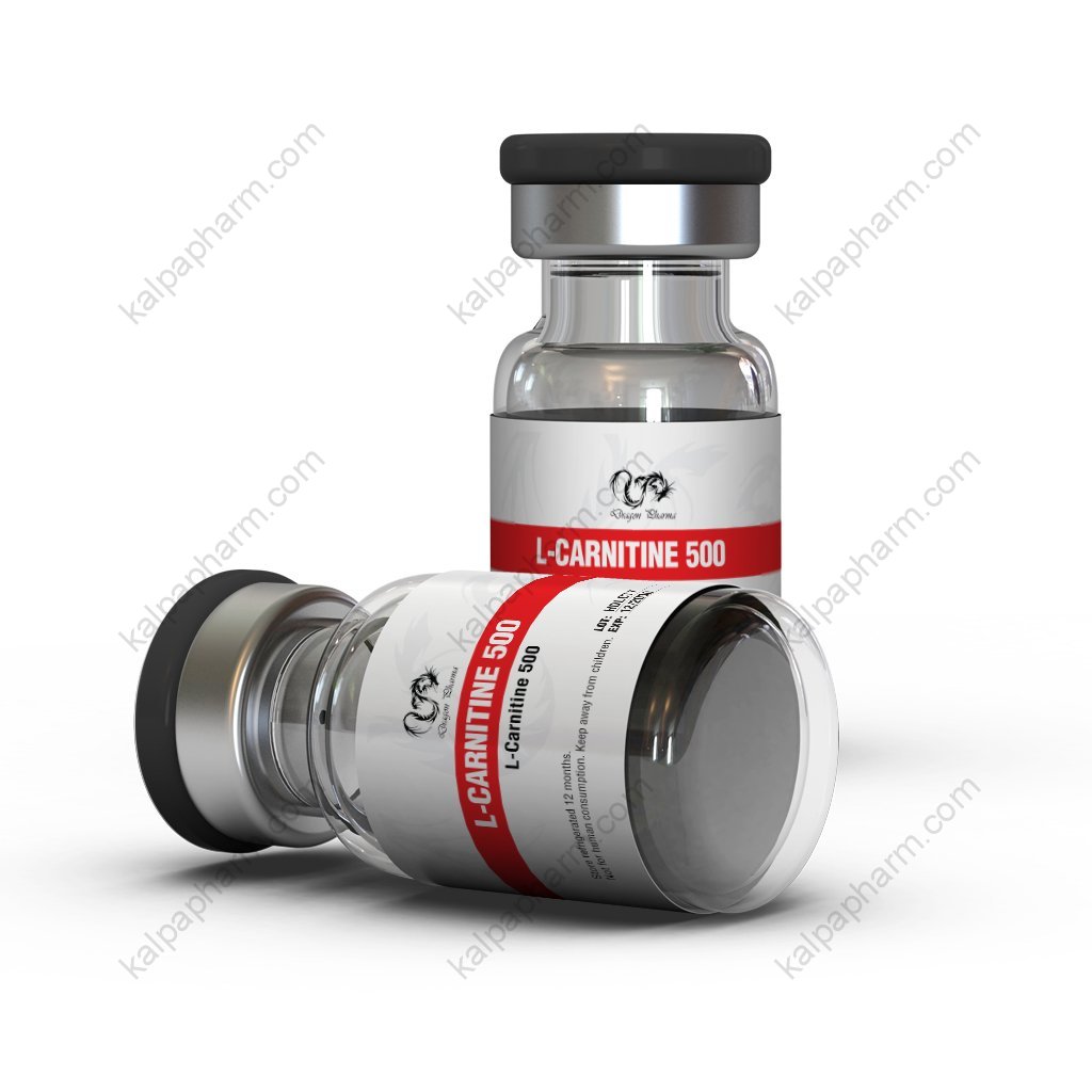 L-Carnitine 500 mg by Dragon Pharma, Europe L-Carnitine 500 mg by Dragon Pharma, Europe