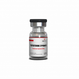 Testosterone Cypionate 250 mg by Singani Pharma