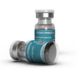 Testoxyl Cypionate 250 mg by Kalpa Pharmaceuticals LTD, India