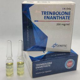 Trenbolone Enanthate by Genetic Pharmaceuticals
