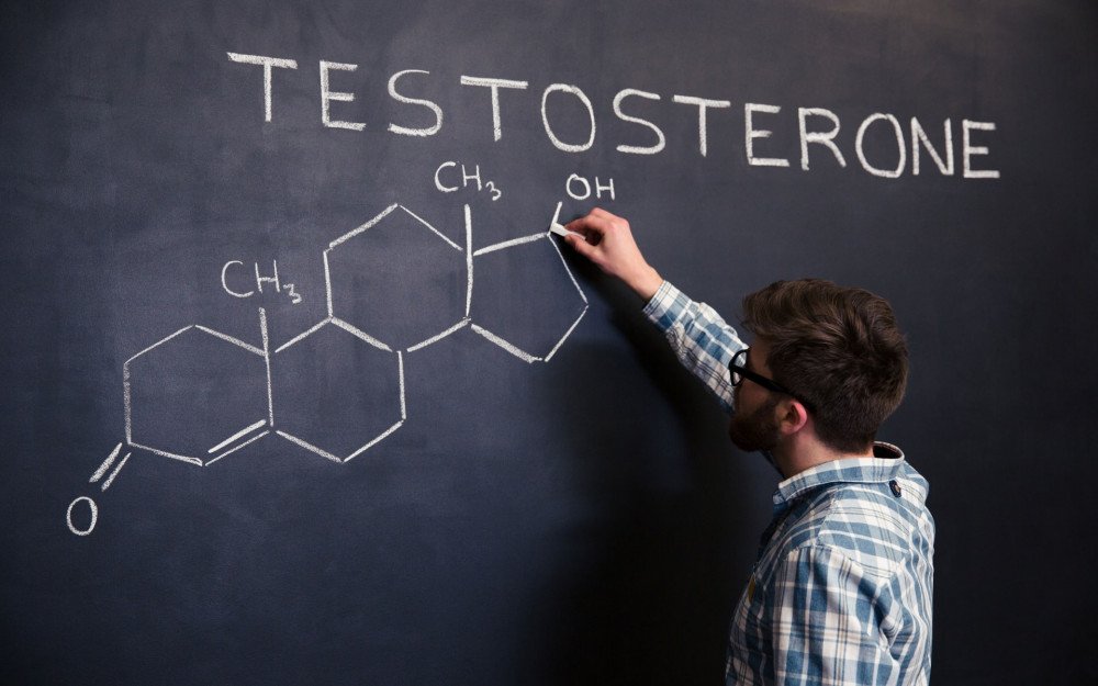 Testosterone and Ageing